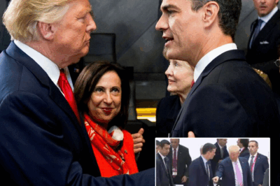 ESCÁNDALO MUNDIAL Trump HUMILLA a Pedro Sánchez POR PAPA FRANCISCO Y SU FUNERAL EXPERTO LO DESTAPA | HO