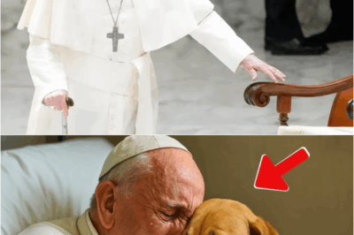 PAPA FRANCISCO PIDE SU ULTIMO DESEO Y ES VER A SU PERRO! – EL EMOTIVO MOMENTO QUE CONMOVIÓ A TODOS | HO