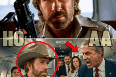 Millonario HUMILLA a CHUCK NORRIS en Primera Clase Y Se Arrepiente Para Siempre (GRAVE ERROR) | HO