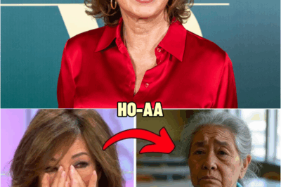 ANA ROSA ENCUENTRA A SU EXNIÑERA TRABAJANDO A LOS 85… ¡LO QUE HIZO DESPUÉS SORPRENDIÓ A TODOS! | HO
