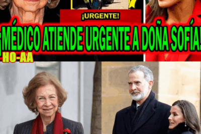 A DOÑA SOFÍA AND TOTAL SHAME FOR LETIZIA ORTIZ AND FELIPE VI AFTER THE WILDFIRES