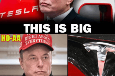 Tesla Is About To Dominate Everything