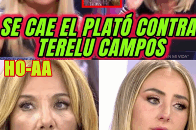 ROCÍO FLORES HUNDE A TERELU CAMPOS EN DE VIERNES POR DAVID FLORES