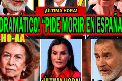 ¡MUY FUERTE! “PIDE MORIR EN ESPAÑA” EL EMÉRITO JUAN CARLOS I EXPLOTA CON FELIPE VI Y LETIZIA ORTIZ