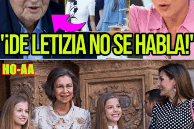 ¡TERRIBLE VÍDEO HUNDE A LETIZIA! POR REY JUAN CARLOS I ESCANDALIZA A SONSOLES ÓNEGA Y ARDE ZARZUELA
