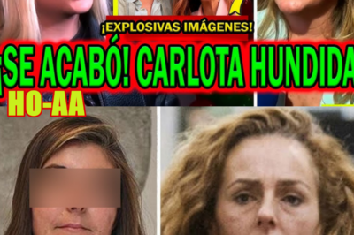 ¡SE ACABÓ! ABOGADA DESTAPA A CARLOTA CORREDERA CON TERELU CAMPOS Y ALEJANDRA RUBIO TRAS ROCÍO FLORES