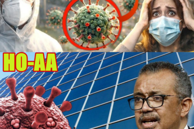 ¡LO QUE NOS FALTABA EN ESPAÑA! EL VIRUS NIPAH ALERTA MUNDIAL