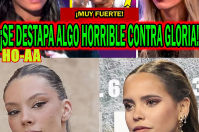 EL UNIVERSO MEDIÁTICO DE LAS FAMILIAS TELEVISIVAS: TENSIÓN, NARRATIVAS Y NUEVOS CAPÍTULOS EN EL FOCO PÚBLICO