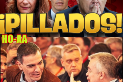 SE ACABÓ: LA CLOACA DEL PSOE PONE CONTRA LAS CUERDAS A SÁNCHEZ