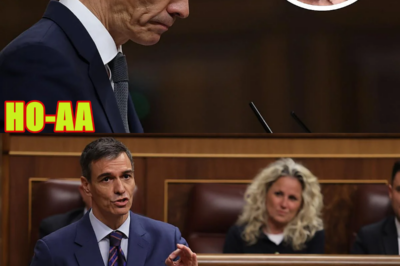 Herrera señala lo que Sánchez callará hoy en el Congreso