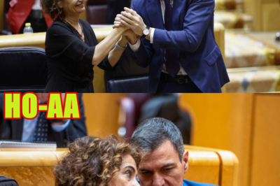 Montero, saqueadora oficial del reino: 8 años de expolio al ciudadano