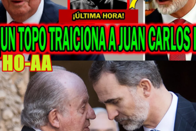 ¡SUCIA TRAICIÓN! EL EMÉRITO JUAN CARLOS I PONE EN ALERTA A FELIPE VI Y LETIZIA ORTIZ EN ZARZUELA