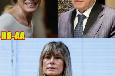 BEGOÑA GÓMEZ NO COMPARECE ANTE EL JUEZ PEINADO: VALORACIÓN DEL JUEZ VILLEGAS | ESdiario