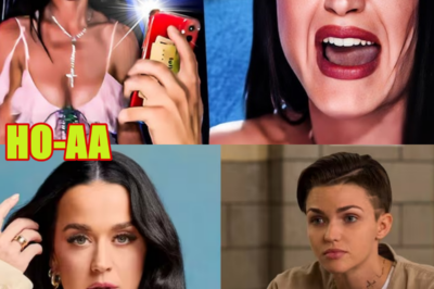 LA ESTRELLA “WOKE” KATY PERRY HA SIDO ACUSADA DE LO PEOR… ENTRE POLÉMICAS, REDES SOCIALES EN LLAMAS Y UNA IMAGEN EN ENTREDICHO