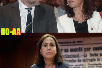 Pardo de Vera tira de la manta y apunta a Ábalos por las contrataciones