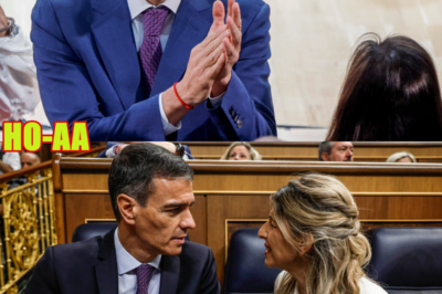 La FINANCIACIÓN ILEGAL del PSOE, CONFESADA en el SUPREMO