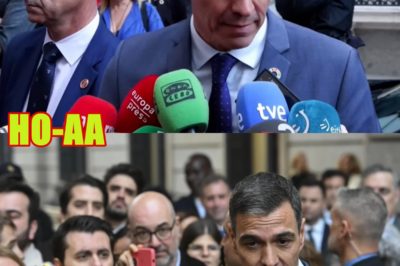 ¡PELIGRO! TENSIONES POLÍTICAS Y JUDICIALES EN TORNO AL “CASO ALDAMA” Y EL DEBATE SOBRE LA FISCALÍA GENERAL