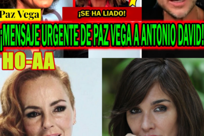 ¡BOMBAZO! MENSAJE URGENTE DE PAZ VEGA A ANTONIO DAVID FLORES POR ROCÍO CARRASCO ANTES DE SEPARARSE