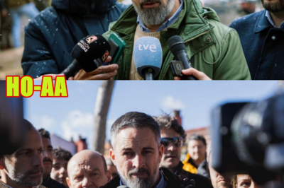 Herrera: “Una regularización de inmigrantes que se instala directamente en el caos”