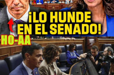 MARÍA CORINA HUMILLA A SÁNCHEZ EN EL SENADO. RESPONDE POR QUÉ NO SE REUNIÓ CON EL GOBIERNO