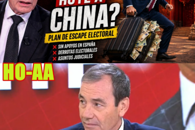 TOMÁS GÓMEZ REVELA EL PLAN ELECTORAL QUE REVENTARÁ EL SANCHISMO