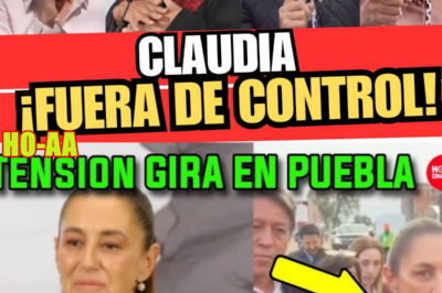 La hunden protestas, regaños y sus disparates