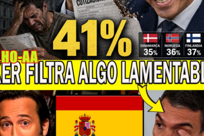 LOS TRABAJADORES ESPAÑOLES PAGAN MÁS IMPUESTOS QUE LOS DANESES (Y RECIBEN SERVICIOS PEORES): MITO, REALIDAD Y CONTEXTO DE UNA AFIRMACIÓN POLÉMICA