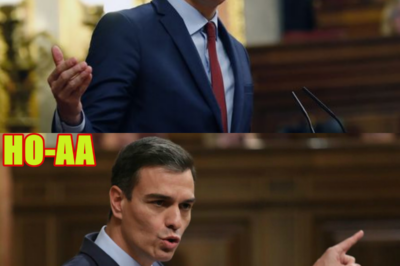 UN GOBIERNO QUE NO GOBIERNA