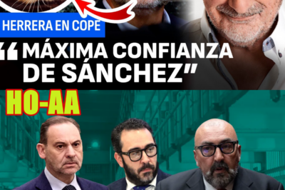 Herrera y el surrealista detalle del gato en el juicio a Ábalos, Koldo y Aldama