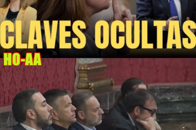 El escandaloso privilegio de Torres y Armengol en el Supremo para tapar las pruebas en su contra