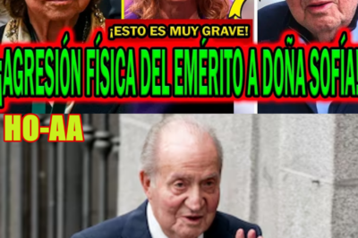 ¡GRAVE VIDEO! DESTROZAN A LETIZIA ORTIZ EN ZARZUELA Y DOÑA SOFÍA PÁLIDA CON EMÉRITO JUAN CARLOS I
