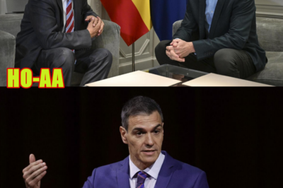 Sánchez, hundido tras una semana de polémicas judiciales y hantavirus