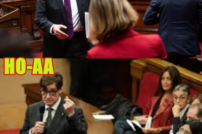 El gobierno infla la demanda de vivienda y congela la oferta. Luego culpa a la especulación