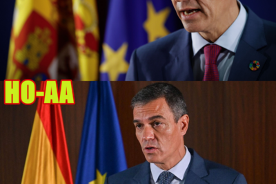 ALDAMA VA CON TODO CONTRA SÁNCHEZ: LA DECLARACIÓN BOMBA QUE LO HUNDE
