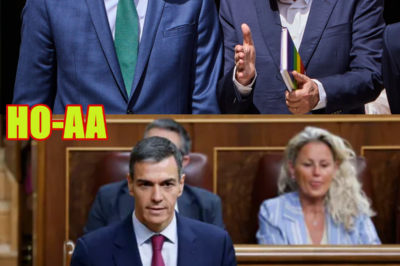 ¿Qué papel juega Pedro Sánchez en la supuesta trama de José Luis Rodríguez Zapatero?