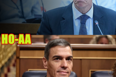 La UCO y Aldama señalan a Sánchez como la cúspide de la “organización criminal”: claves, contexto y límites de una acusación de alto voltaje