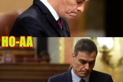 Jaque mate: el juicio contra la “trama PSOE” marca el final de Pedro Sánchez