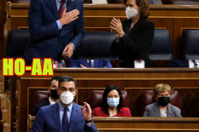 “Pedro Sánchez lo pagará”: así augura Tomás Gómez la caída del PSOE actual | El Cascabel