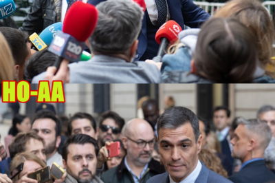 Aldama lo cuenta todo: los mejores momentos de su declaración