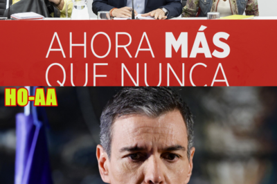 Los papeles de Leire acorralan a P. Sánchez