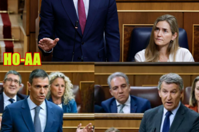 SÁNCHEZ Y EL PSOE, A NADA DE LA IMPUTACIÓN
