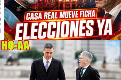 ¡ÚLTIMA HORA! LA CORONA Y LA CRISIS POLÍTICA EN ESPAÑA: ¿SE ACERCA UN ADELANTO ELECTORAL?