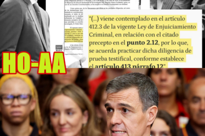 Juez analiza el futuro de Sánchez: “Pueden llamarle a declarar en cualquier momento”