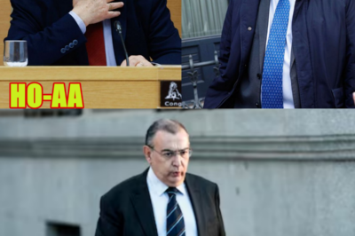 La Audiencia Nacional destapa la ‘kitchen del PSOE’: sobornos a jueces, fiscales y testigos