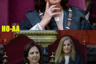 ¡LUZÓN! El fiscal jefe Anticorrupción desafía a la fiscal general Peramato por la pena de Aldama