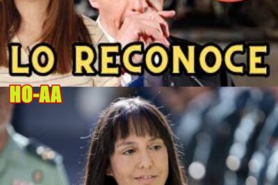 EL GOBIERNO RECONOCE LAS REUNIONES DE LEIRE, Y AHORA QUÉ?