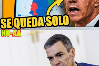 TENSIONES POLÍTICAS Y NEGOCIACIÓN PARLAMENTARIA: EL DESAFÍO DE LAS MAYORÍAS EN EL GOBIERNO ESPAÑOL